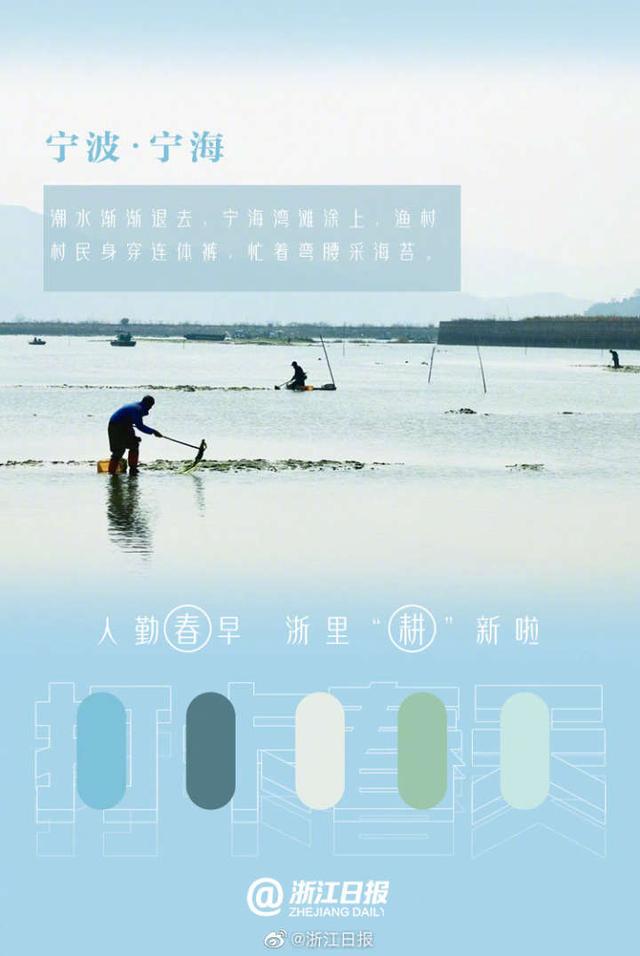 浙江新闻客户端用户注册如何区分哪些是浙江新闻客户端报道