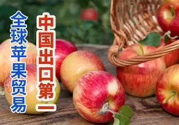 梆梆防盗苹果版4分40秒原版视频-第1张图片-太平洋在线下载